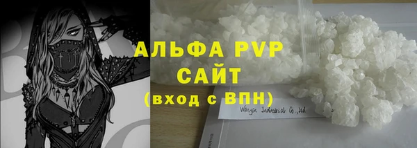 гидра Белокуриха
