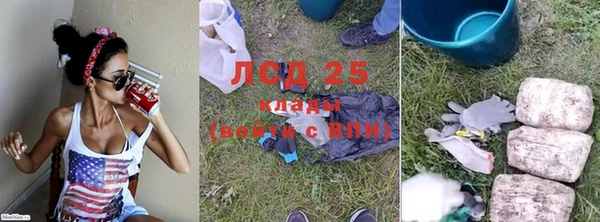 гидра Белокуриха
