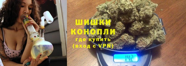 гидра Белокуриха
