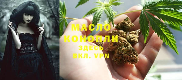 гидра Белокуриха